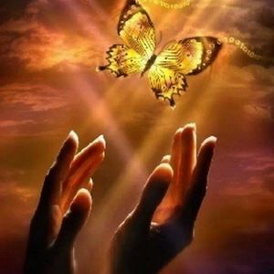 Meet your Posher, Brett